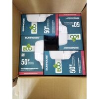 Bóng đèn blub led Eco 50w