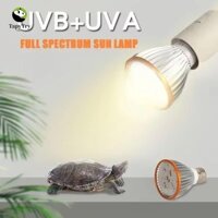 Bóng đèn bò sát ALISON, Đèn LED toàn phổ 5.0 / 10.0 Terrarium, thúc đẩy chiếu sáng tăng trưởng UVA UVB E27 Bóng đèn sưởi ấm thú cưng nhỏ trị liệu Tầm nhìn ban đêm