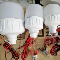 Bóng Đèn Buld Kẹp Bình 12v 20w