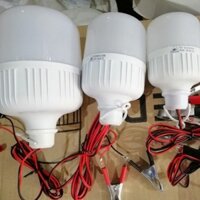 Bóng Đèn Buld Kẹp Bình 12V 30W///3