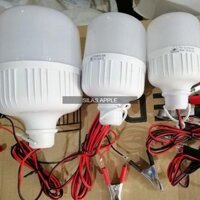 Bóng Đèn Buld Kẹp Bình 12v 20w