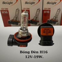 Bóng Đèn H16-12V/19W, Bóng Đèn Gầm, Đèn Cản Xe Toyota Vios, Innova, Yaris, Wigo...Hàng Hàn Quốc Biolight.
