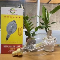 Bóng đèn Halogen Oceanlight 1000W (Xanh-Đỏ-Trắng)