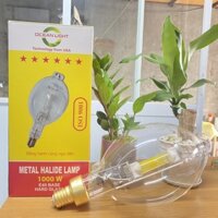 Bóng đèn Halogen Oceanlight 1000W (Vàng Mỡ Gà)