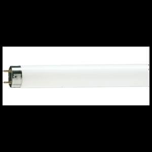 Bóng đèn huỳnh quang Philips 36W T8 - 1.2m