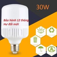 bóng đèn led 30w