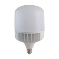 Bóng đèn LED 40W Rạng Đông, Model LED TR10040w
