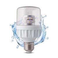 Bóng đèn LED 9W chuyên dụng cho hoa cúc miền bắc chính hãng Rạng Đông Model TR60.HC9W