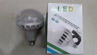Bóng đèn Led ắc quy 12V-13W