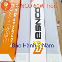 Bóng Đèn Led Bán Nguyệt 1m2 ESNCO 60W Đầu Tròn, Ánh Sáng Trắng ( 7000K ) - Đặt hàng từ 2 bóng đèn trở lên