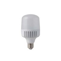 Bóng đèn led Bulb 20W Rạng Đông TR80