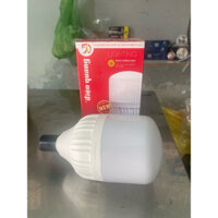 Bóng đèn led bulb 30W Điện Quang