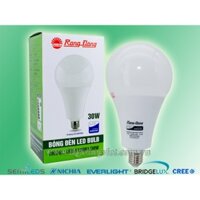 Bóng đèn led Bulb 30W Rạng Đông