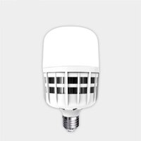Bóng Đèn LED bulb công suất lớn Điện Quang ĐQ LEDBU09 30727 (30W warmwhite, nguồn tích hợp)