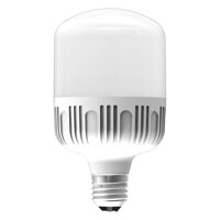 Bóng Đèn Led Bulb Công Suất Lớn Điện Quang ĐQ Ledbu10 18727AW 18W Warmwhite Chống Ấm