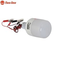 Bóng đèn LED BULB DC 12W Model: LED TR70N1 12-24VDC/12W (có kẹp và không kẹp ắc quy)