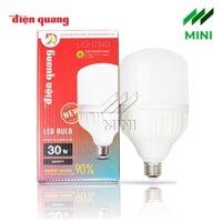 Bóng đèn LED bulb Điện Quang LEDBU12 30W, bầu kín, công suất lớn