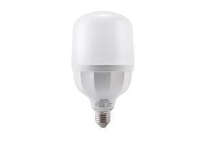 Bóng đèn Led Bulb MPE LBD2-50V
