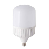 Bóng đèn LED Bulb Rạng Đông Model TR140N1 50W SS Trắng