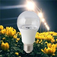 Bóng Đèn LED Bulb Rạng Đông LED HC A60/9W E27 – Ánh Sáng Vàng (LED SS)