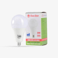 Bóng đèn LED BULB tròn 30W Rạng Đông – TR100N1/30W.H