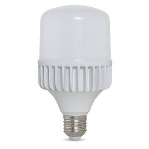 Bóng đèn LED bulb trụ Rạng Đông TR120/50W