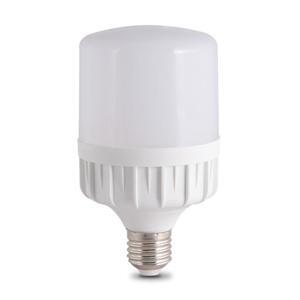 Bóng đèn LED bulb trụ Rạng Đông TR80N1/20W SS