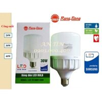 Bóng đèn Led Bulb Trụ Rạng Đông 30W (TR100N1) E27