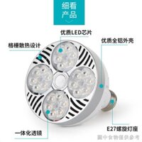 Bóng Đèn led E27 35w40W par30 Chất Lượng Cao