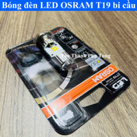 Bóng đèn LED OSRAM T19 (bi cầu) Dream, Wave alpha đời đầu, Wave 125i, Wave ZX (8035BC)
