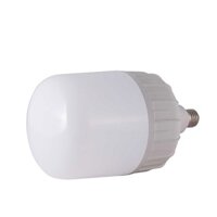 BÓNG ĐÈN LED RẠNG ĐÔNG 30W-LED TR100N1-30W