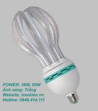 BÓNG ĐÈN LED TRÁI KHẾ 36W