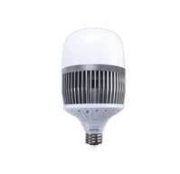 Bóng đèn LED tròn (BULB) MPE LB-100T (100W) (Trắng)