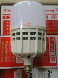 Bóng đèn led trụ 30W ĐIỆN QUANG - Ánh sáng trắng