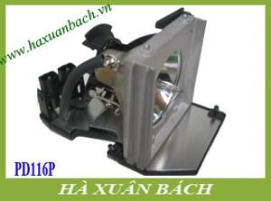 Bóng đèn máy chiếu Acer PD116