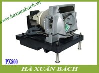 Bóng đèn máy chiếu Nec NP-PX800X