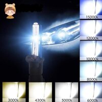 Bóng đèn ô tô, Bộ đèn Xenon, Chấn lưu vỏ rùa, Đèn Xenon, Đèn pha siêu sáng, 55W H3 12V YKD0321