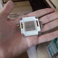 Bóng Đèn Pha Led 30w Loại Tốt - Xanh Dương