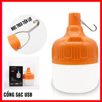 Bóng đèn sạc ZY 007 80W