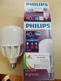 Bóng đèn tròn Philips công suất cao 30W hiệu năng cao - An Lạc Phát