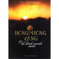 Bông Hồng Vàng Và Bình Minh Mưa