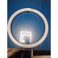 Bóng huỳnh quang vòng (Đèn Ốp) Philips TL-E 40W/33-640  T10