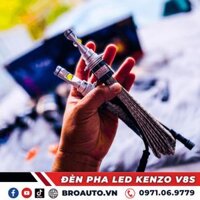 BÓNG LED KENZO V8S
