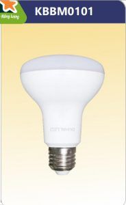 Bóng led R8 đổi màu 10w KBBM0101