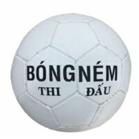 bóng ném tiêu chuẩn thi đấu