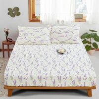Bông Nguyên Chất In Cotton Nguyên Chất Sản Phẩm Đơn Ga Giường Hoa Nhỏ Ga Trải Giường Tấm Gối