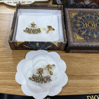 Bông tai cao cấp Dior