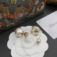 Bông tai cao cấp Dior