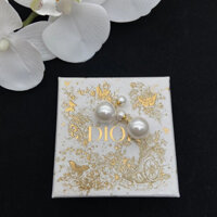 Bông tai Dior Bông tai ngọc trai lớn hai mặt Nữ cao cấp Retro Bông tai phong cách mới