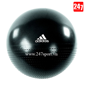 Bóng tập Yoga Adidas ADBL 12245 - 65cm
